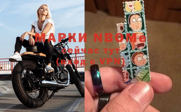 гидра Алексин