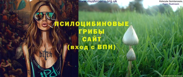 гидра Алексин