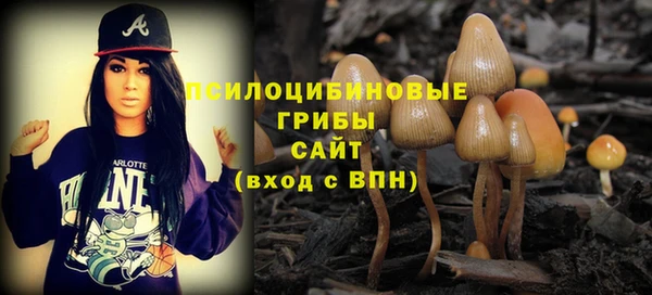 гидра Алексин