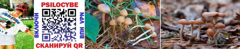 Псилоцибиновые грибы MAGIC MUSHROOMS  гидра зеркало  мориарти как зайти  где можно купить наркотик  Бирюч 